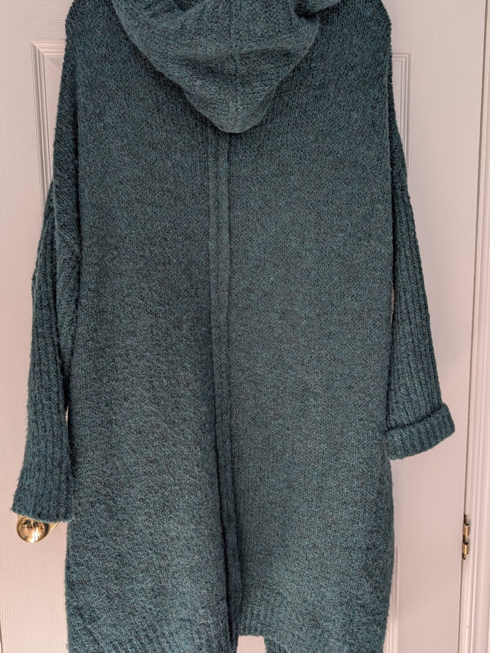 Cozy Hooded Women's Sweater Cardigan - Teal